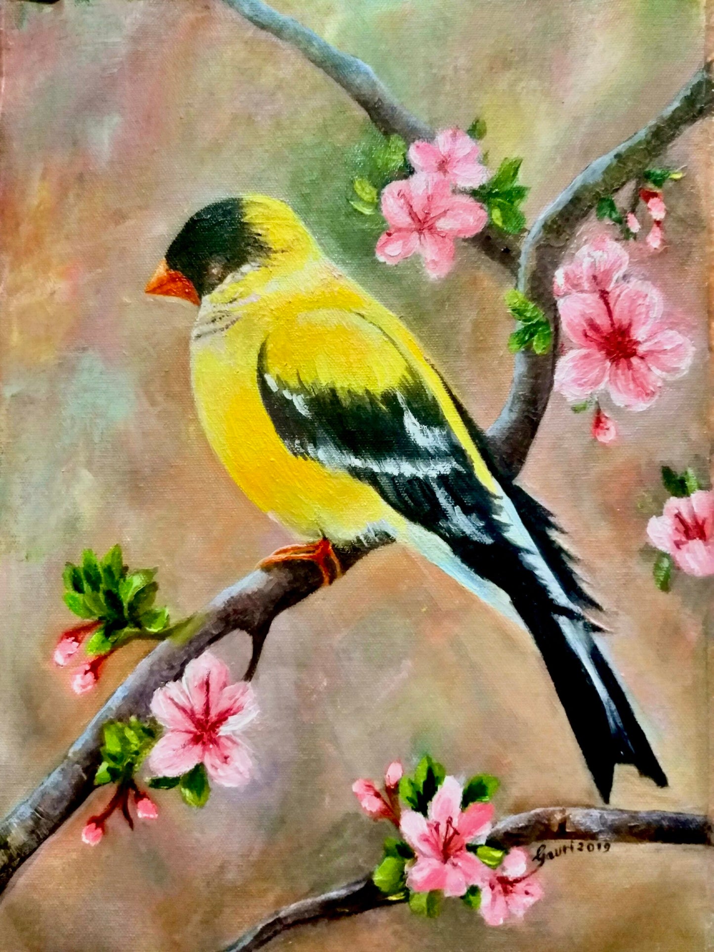 Bird image 0