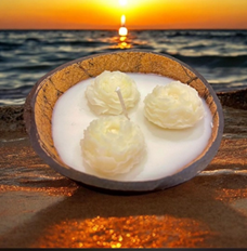 Coconut Shell Candle