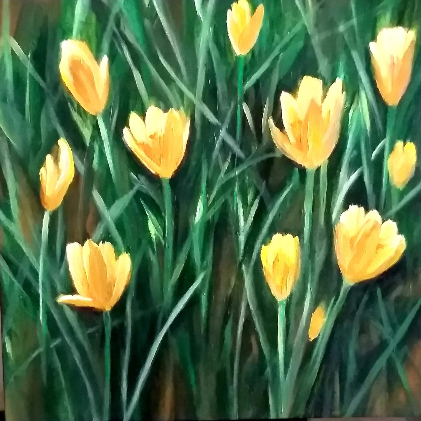 Yellow Flowers image 0
