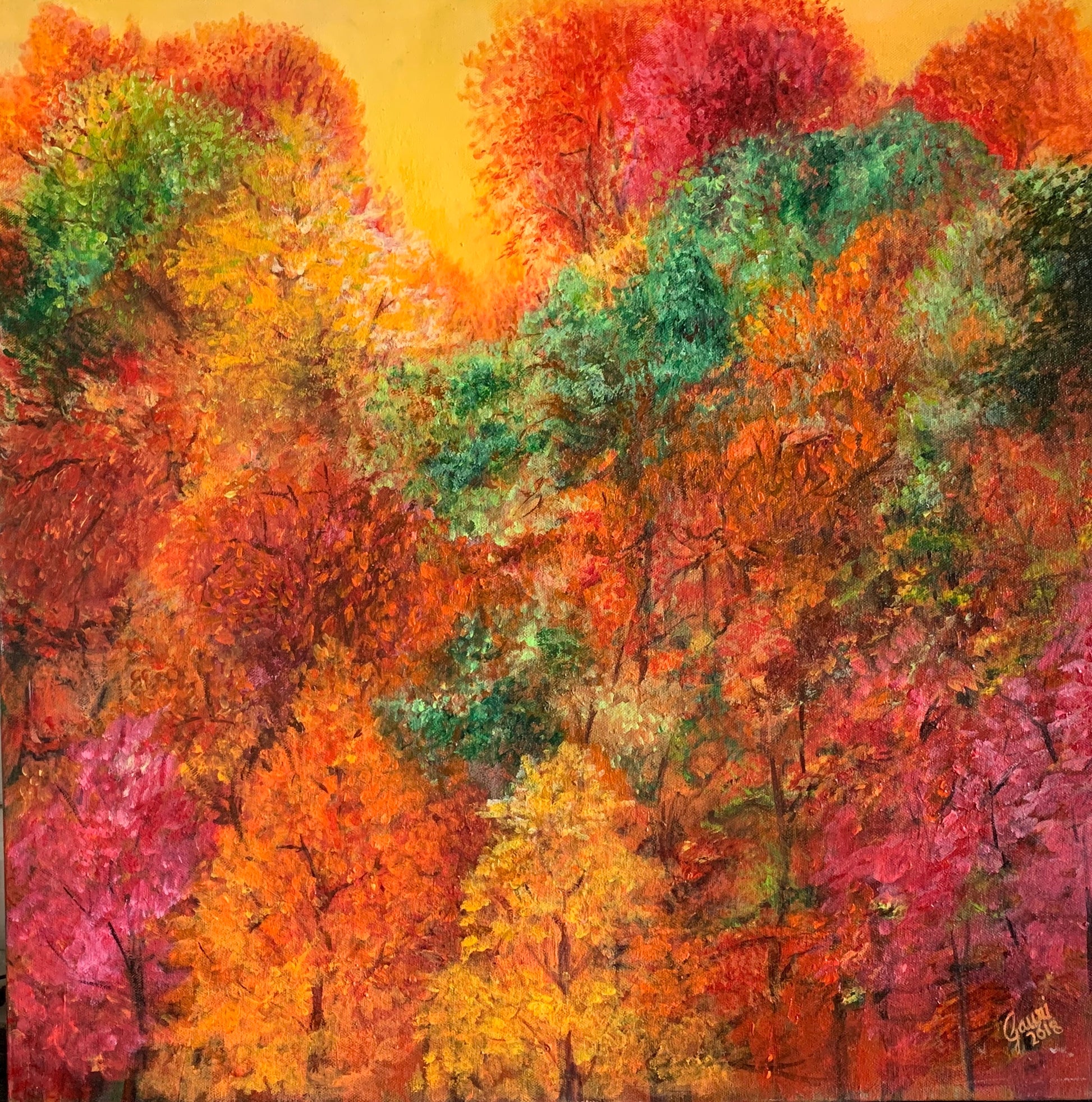 Fall Colours1 image 0