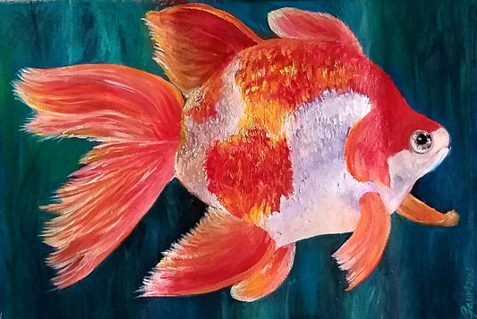Fish 1 image 0