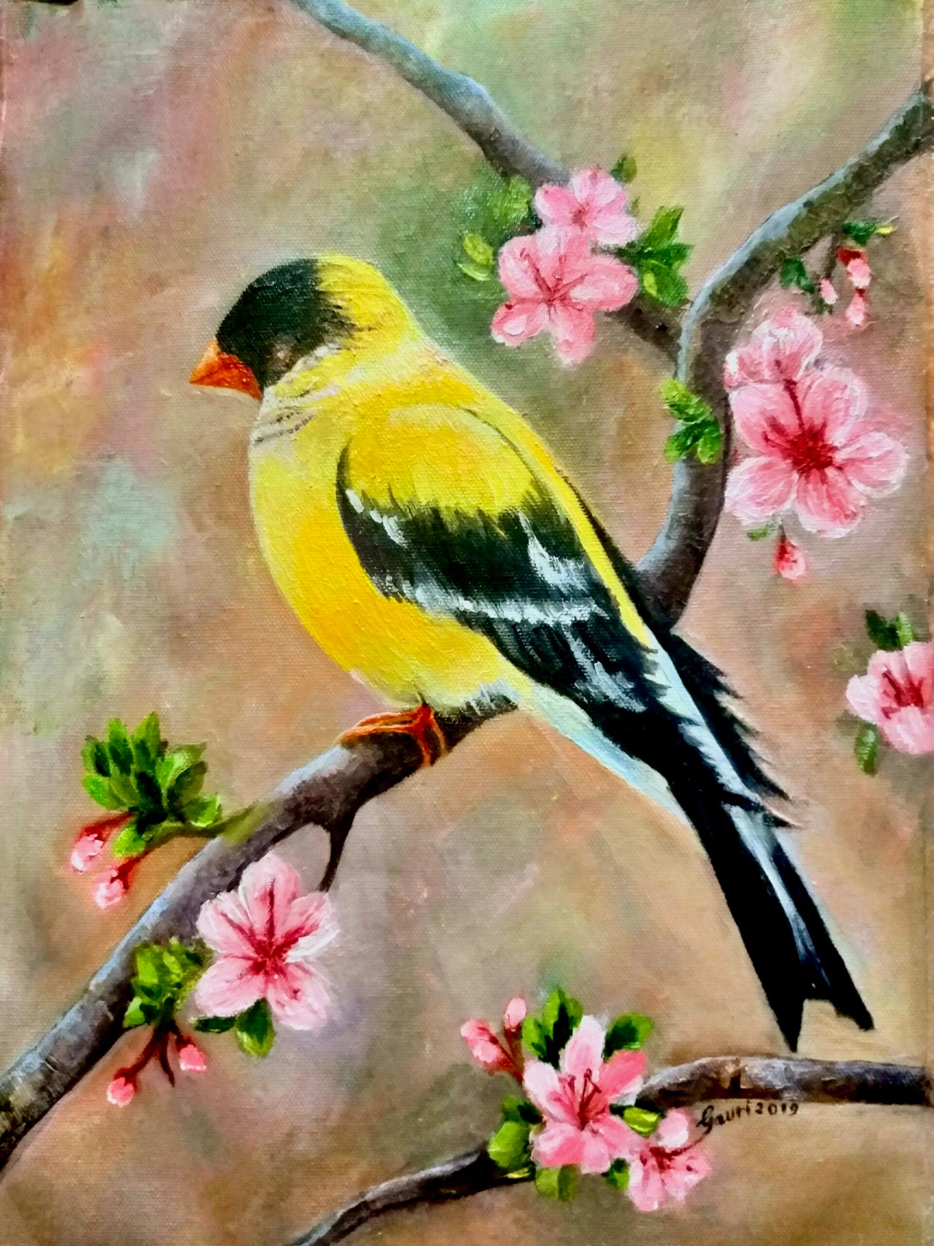 Bird image 0