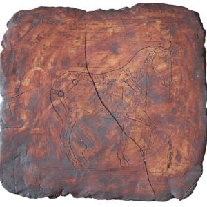 Plate -IV image 0