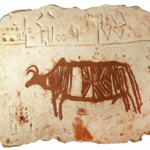 Plate -I image 0