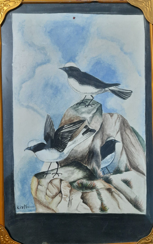 Birds on the Rocks image 0